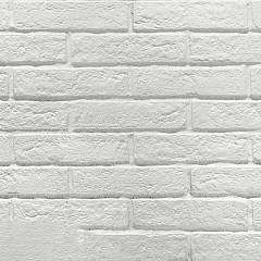 Rhs New York Brick White 6x25