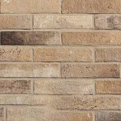 Rondine Group Bricks Antico Сasale Оcra Nat 6х25